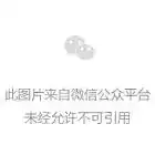 谷歌押注办公Agent:多模型调用,Claude也能用(配图 3)